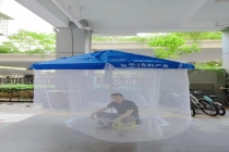 今年蚊子为何提前出现了 气候变暖助力蚊虫提早现身