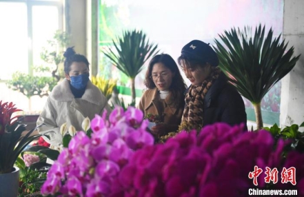 
                    甘肃积石山地震受灾民众迁新居：有繁花“香”伴
               