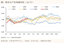 鸡蛋现货突破5元/斤产业为何不敢囤货 高利润下的谨慎心态