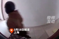 女子门口摆鞋被故意踩踏粘鼠板反击粘到快递小哥