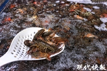 清明嗦虾忙！南京小龙虾30元/斤成主流，批发价涨超三成