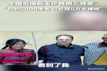 27年前捐5000美元植树的美国人找到了 5万棵树的成长答卷