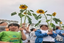 妹妹高举向日葵迎接姐姐出考点 温馨一幕感动众人