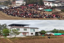 “按猪摇人”走红，重庆女孩“呆呆”：不想带货赚钱 小山村期待蜕变