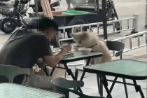宠物生意还会那么好赚吗 需求变精细，生意却不轻松