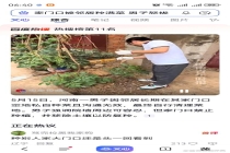 家门口被邻居种满菜男子怒拔 边界之争引共鸣