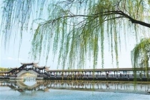 旅游市场春意盎然