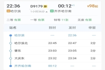 看草莓音乐节演出不愁返程！哈尔滨铁路加开夜间高铁直达三地