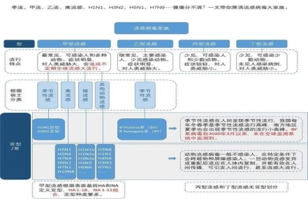 甲流、乙流、禽流感……都是流感,有什么不同? 甲流、乙流、禽流感……都是流感,有什么不同?