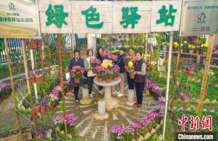 
                    武汉绿色驿站进社区 居民共享生态家园
               