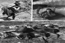 67年来西藏体育缘何巨变 从贵族消遣到全民共享