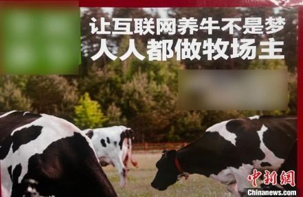 
                    “云养牛”吸金5亿余元 上海警方侦破一起互联网非法集资案
               