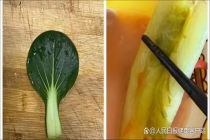 “每餐不见青菜就焦虑”？别迷信单一食物，合理搭配最重要 多样饮食更健康