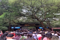 景区人多你还会进去吗 旅行意义的深度叩问