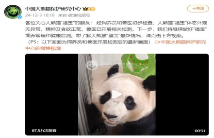 
                    中国大熊猫保护研究中心：“福宝”体态外观无异常，精神及食欲正常
               