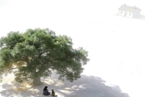 1.23亿独居者的生病签字困局 无人托付的医疗决策难题