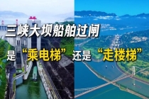 三峡大坝船舶过闸是“坐电梯”吗 揭秘货轮如何翻越大坝