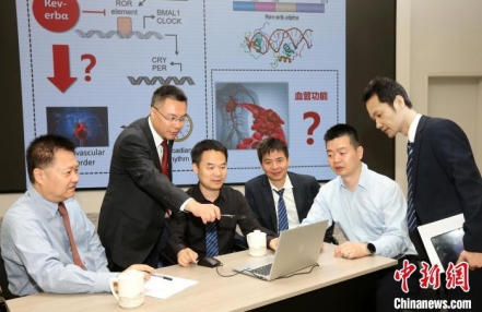 
                    上海专家教授跨学科携手探索诊疗新策略 助心血疾病早诊早筛、精准防控
               