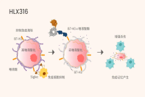 全球首创糖免疫检查点疗法，复宏汉霖HLX316在中国完成首例患者给药