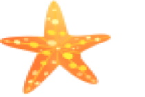 2026出境海岛游呈现新趋势：计划前置、体验升级、客群年轻化