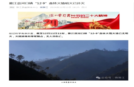 
                    四川雅江“12·9”森林火情明火已扑灭 无人员伤亡
               