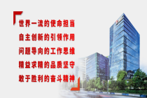 学制度 抓执行 强管理丨中国五矿开展投资管理及矿业管理类制度集中宣贯培训