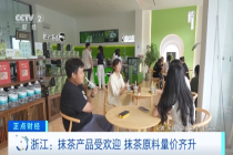 全球爆单！抹茶出口暴涨700% 新茶饮热潮带动增长