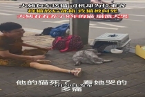 司机放后备箱致托运猫死亡 饲主发声 大姨痛哭引网友共鸣