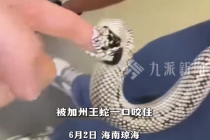 上课被蛇一口咬住女老师发声：是宠物蛇，名字吓人但没毒，伤口已愈合，蛇也没问题