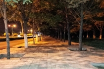 男子醉酒后路边呕吐窒息死亡 同饮者被判赔偿