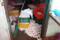 市场监管总局：“3·15”晚会曝光的“双氧水鸡爪”已被查封