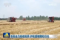 各地多措并举确保“三夏”抢收 全力护航夏粮归仓