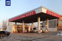 中园石化或涉侵权 商标模仿引争议