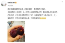 孙俪问杨梅分公母吗 网友求证AI