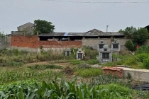 不足600人村庄62人患癌或白血病，村民：我老婆和儿媳都得了白血病 环境污染疑云笼罩