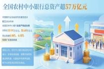 “减量提质”进行时 农村中小银行加速整合