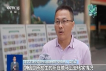 拍摄到“野生华南虎”系谣言：照片实为网上下载