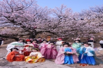 从一朵花看见春日经济活力 赏花经济多点开花