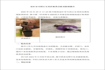 金匠寿司十倍现金补偿 老鼠事件致歉与赔偿措施