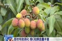 荔枝的正确吃法来了 天然“小糖包”需适量食用