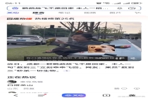 鹦鹉不愿回家主人一招搞定 方言秒召回