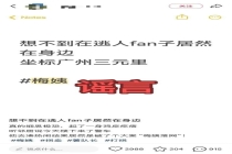 梅姨落网：官方确认进展