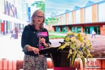 海外学者谈留学生职业能力培育 贯穿全过程培养