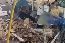 越南木材厂工人被卷入传送带死亡 工友试图施救但为时已晚