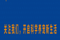 它博会发布！爵宴品牌全新升级，全价风干幼犬粮等众多新品上线