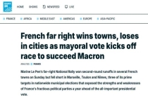 法德选举频现“右转”信号背后 极化趋势加剧
