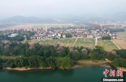 
                    （高质量发展调研行）富春江畔有座“出片村”：艺术乡建引来游客“去班味”
               