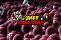 中国科学家将益生菌改造成癌症杀手，使其在肿瘤原位合成抗癌药物