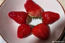 蓝莓 寒性 中医视角下的饮食智慧