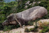 福建霞浦一景区“千年石猪”走红 天然奇观引热议